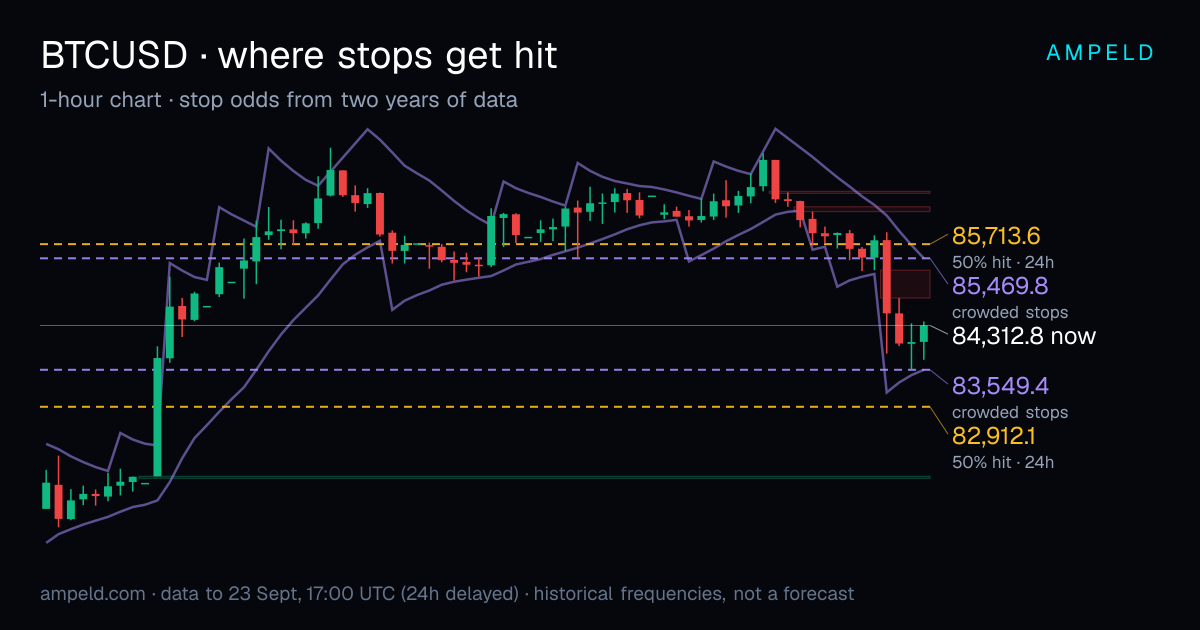 Bitcoin (BTC/USD) 1-hour chart with crowded stop levels and the lines where stops were hit half and a third of the time