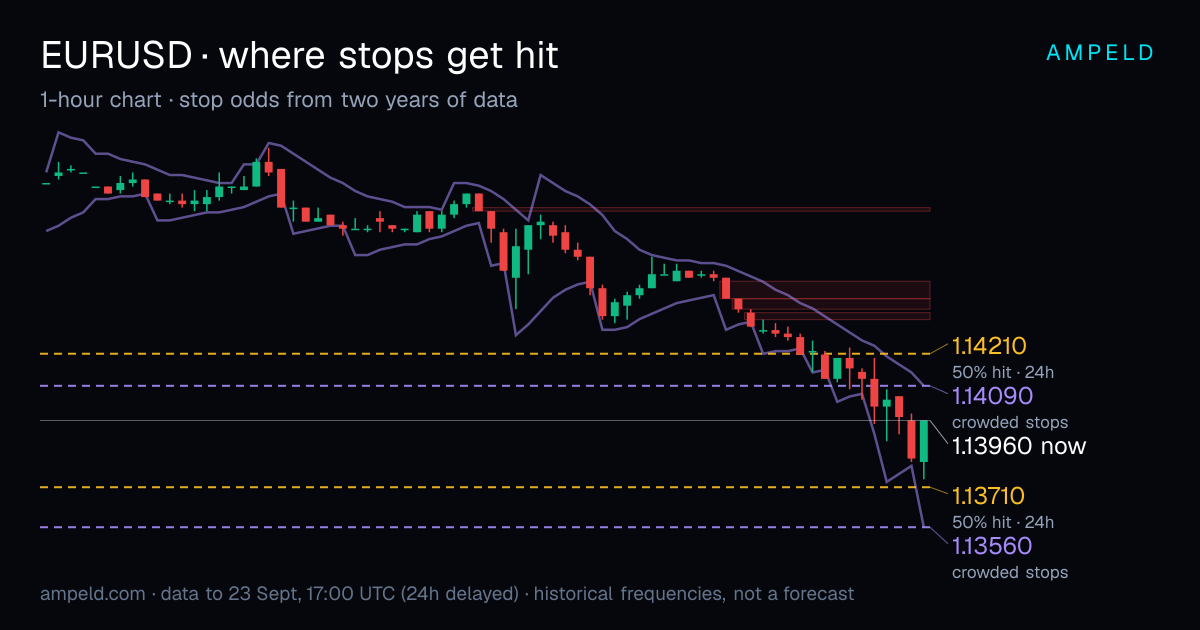 EUR/USD 1-hour chart with crowded stop levels and the lines where stops were hit half and a third of the time
